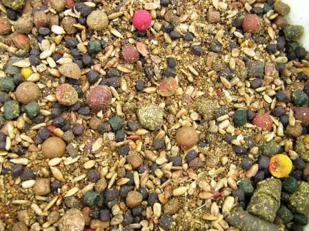 papa bun - p7293751.jpg